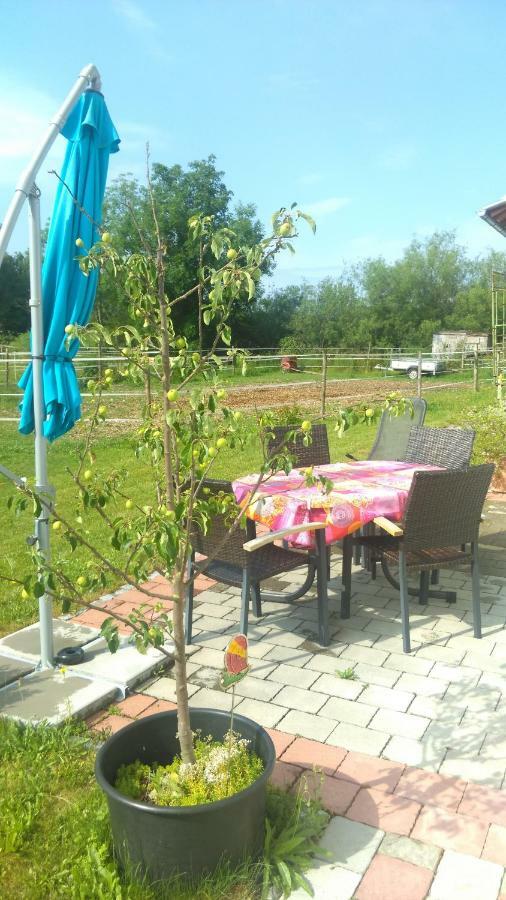 Ferienwohnung Am Verlorenen Bach Untermuhlhausen Εξωτερικό φωτογραφία